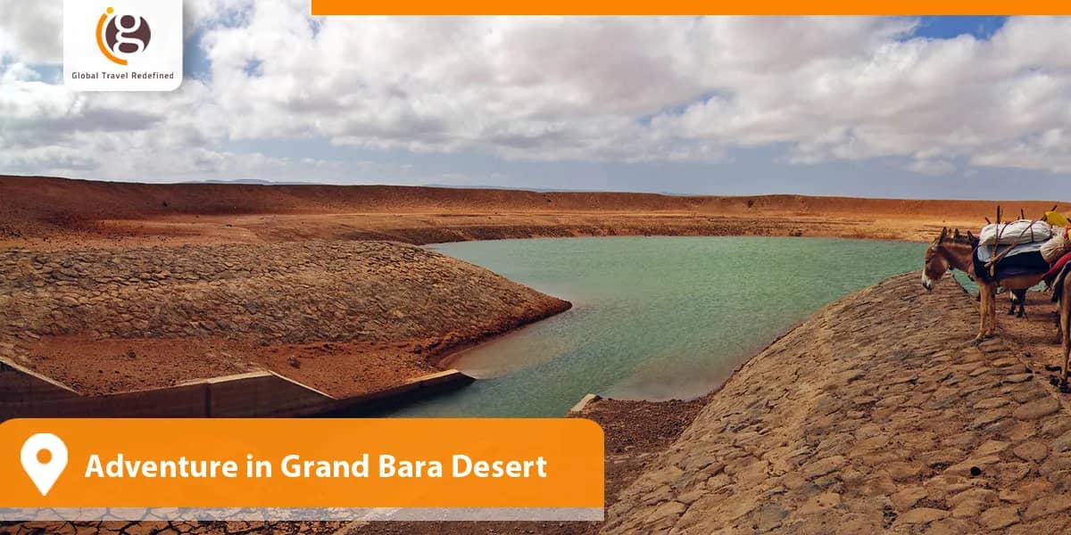 Adventure in Grand Bara Desert