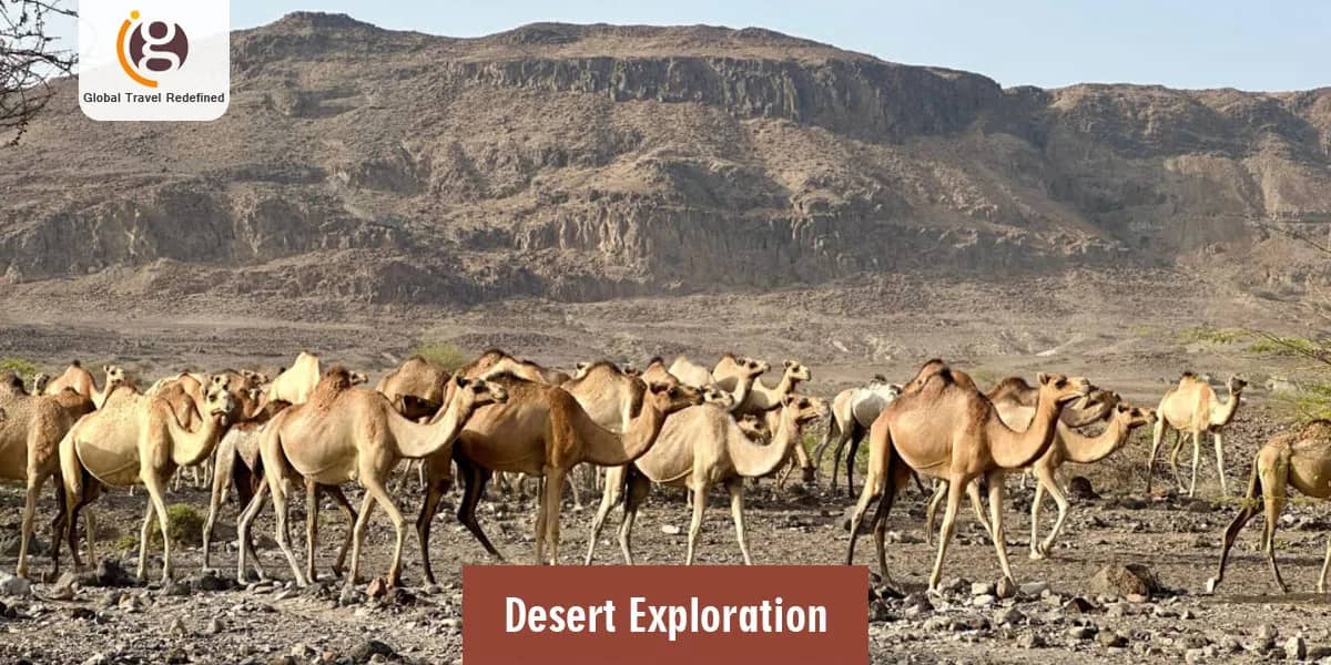 Desert Exploration