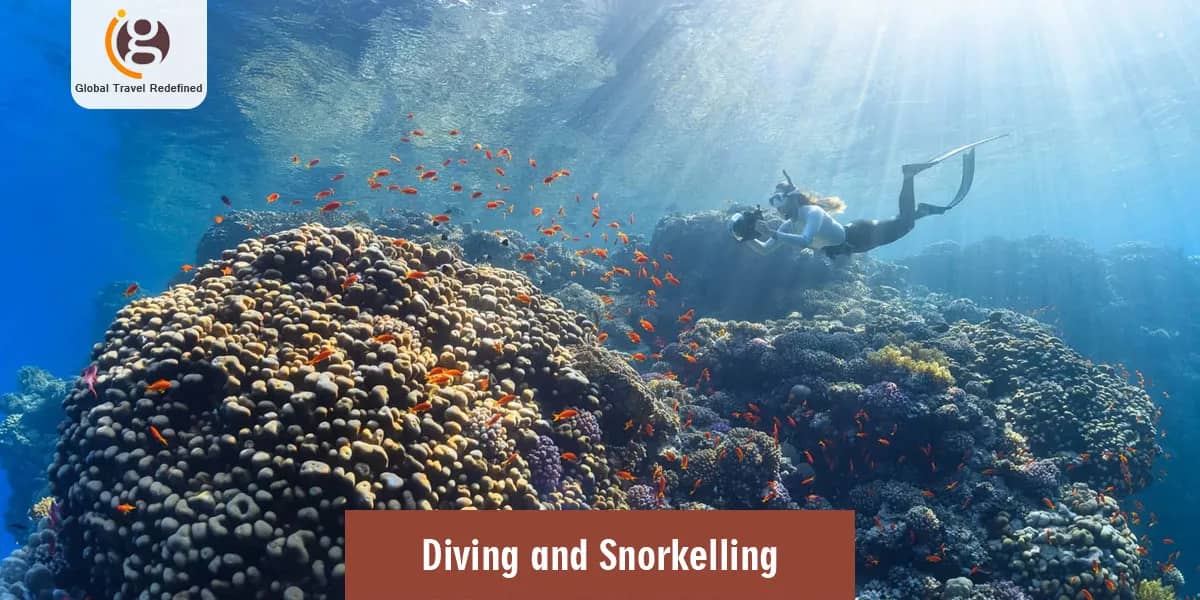 Diving and Snorkelling