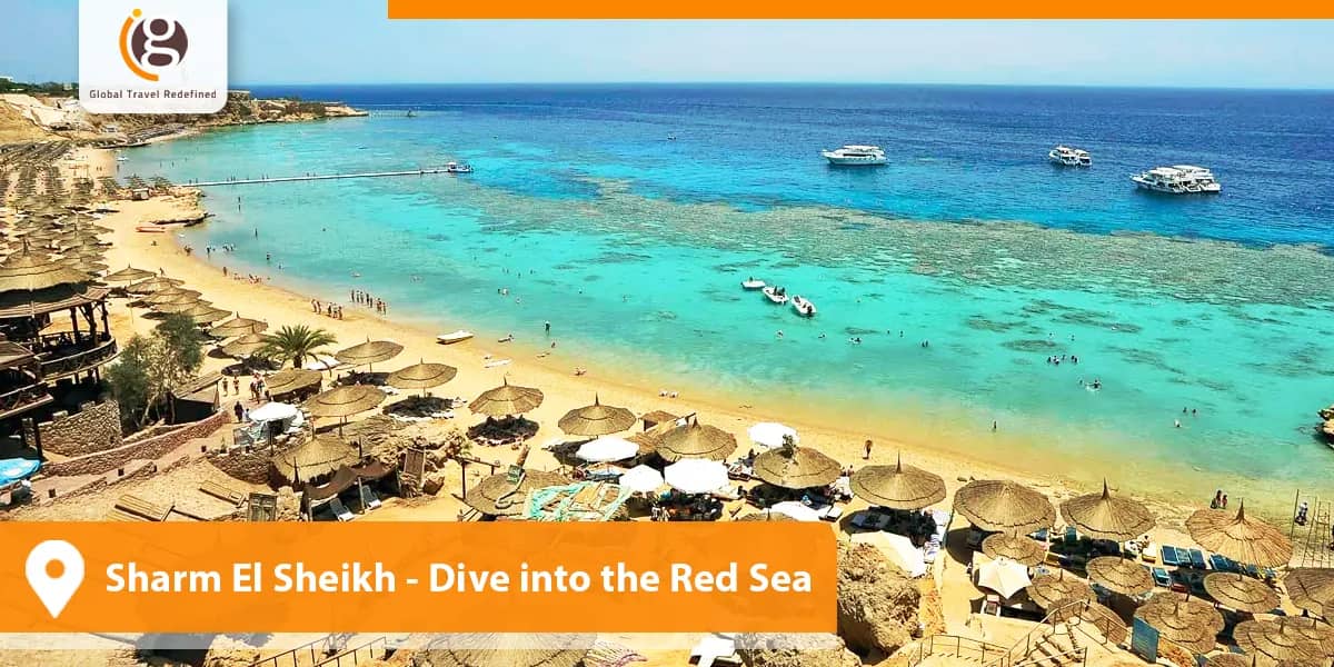 Sharm El Sheikh- Dive into the Red Sea