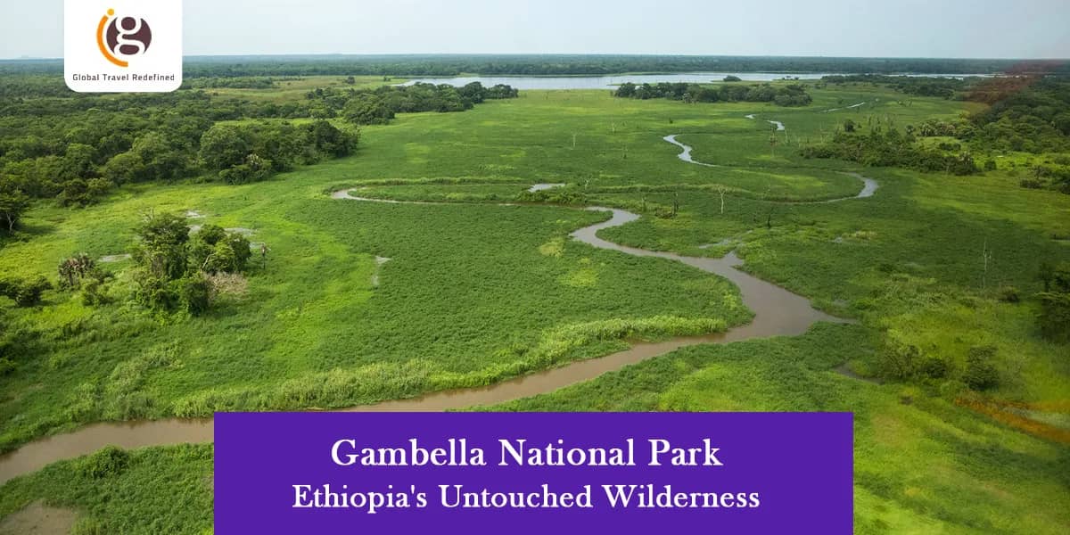 Gambella National Park: Ethiopia's Untouched Wilderness