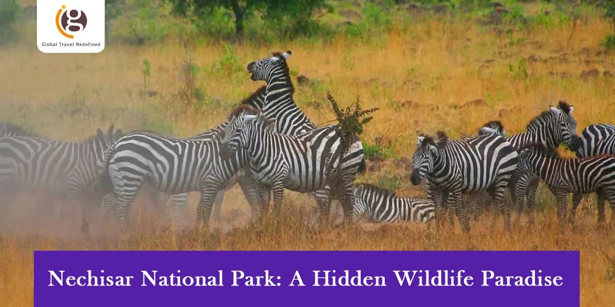 Nechisar National Park: A Hidden Wildlife Paradise