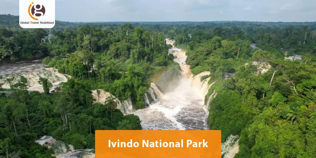 Ivindo National Park