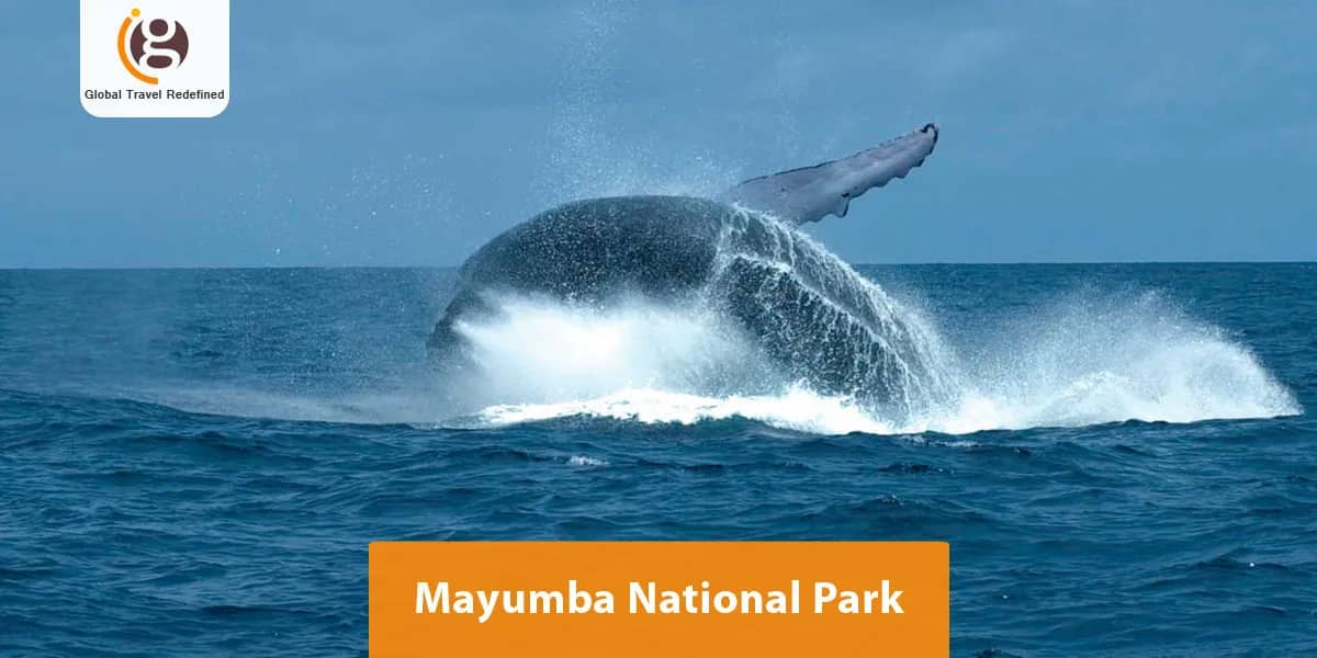Mayumba National Park