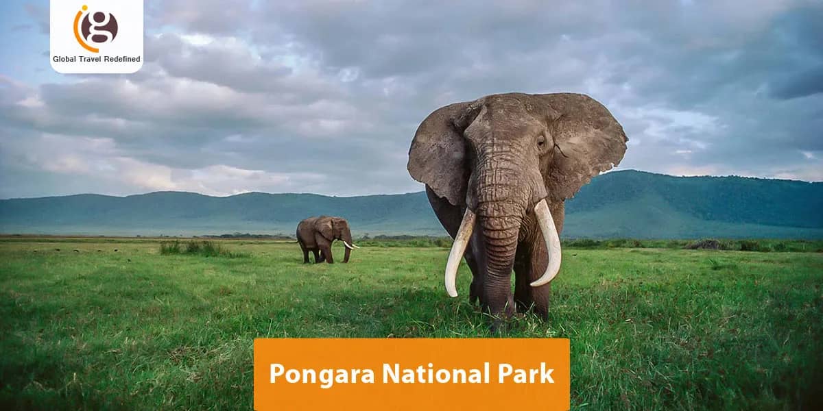 Pongara National Park