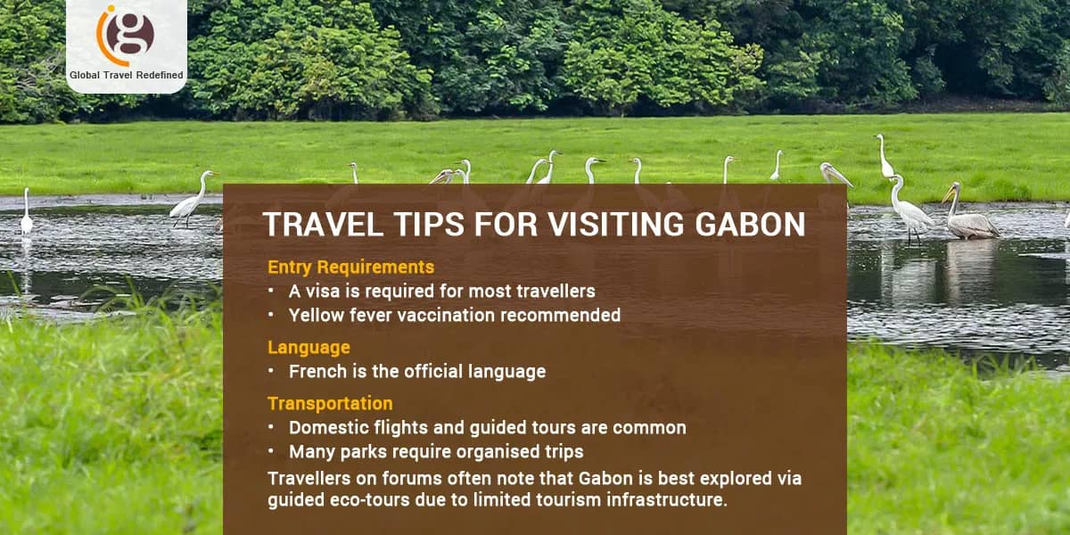 Travel Tips for Visiting Gabon