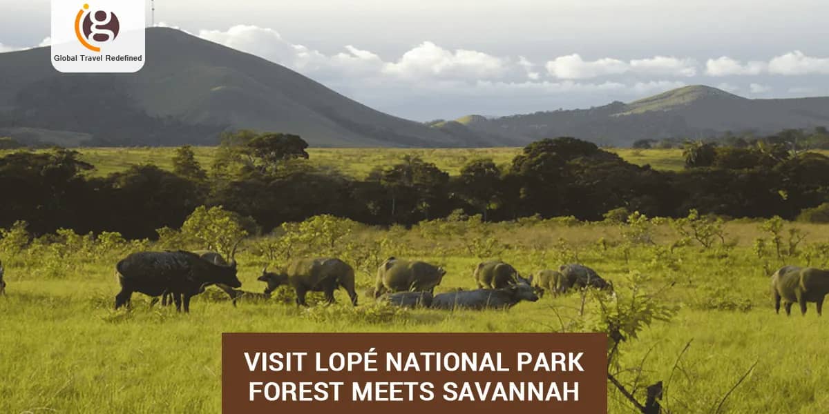 Visit Lopé National Park- Forest Meets Savannah
