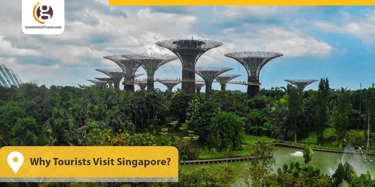 Why Tourists Visit Singapore