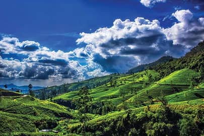Sri Lanka: What it's like to visit during the Covid pandemic