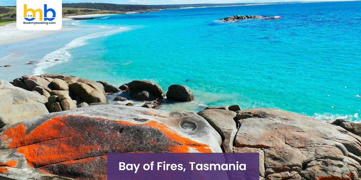 Bay of Fires, Tasmania
