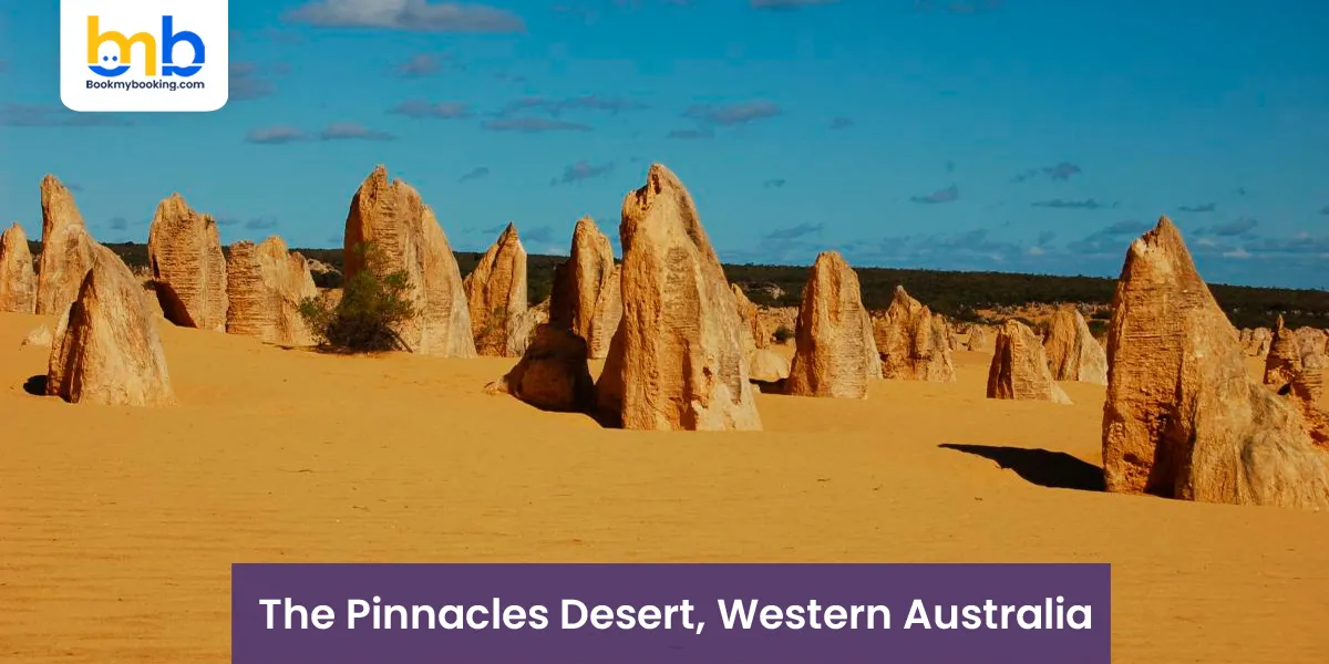 The Pinnacles Desert, Western Australia