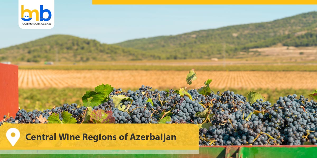 Central Wine Regions of Azerbaijan