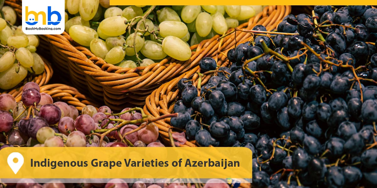 Indigenous Grape Varieties of Azerbaijan