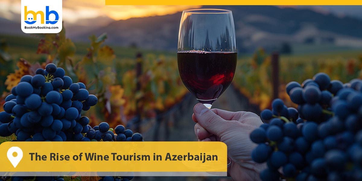 The Rise of Wine Tourism in Azerbaijan