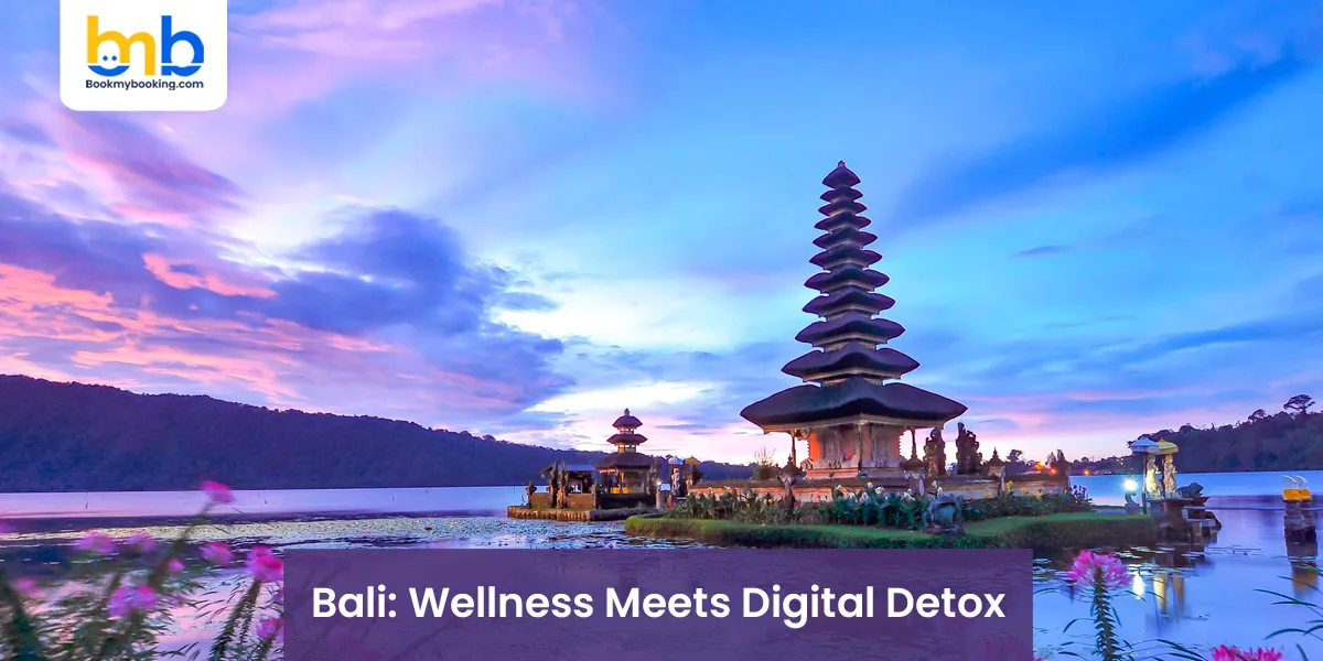 Bali: Wellness Meets Digital Detox