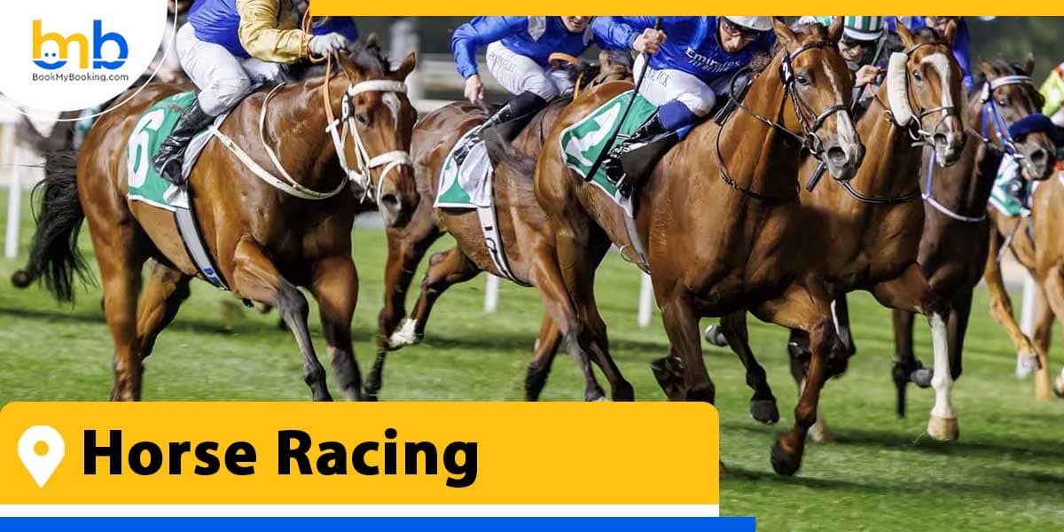 horse racing from bookmybooking