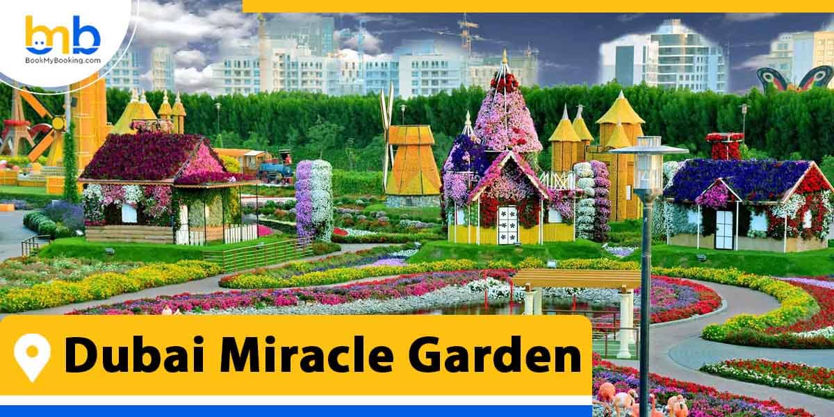 dubai miracle garden from bookmybooking