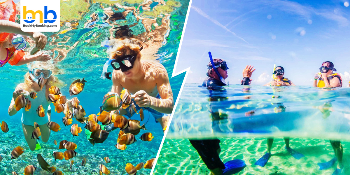 Family-friendly versus level experience