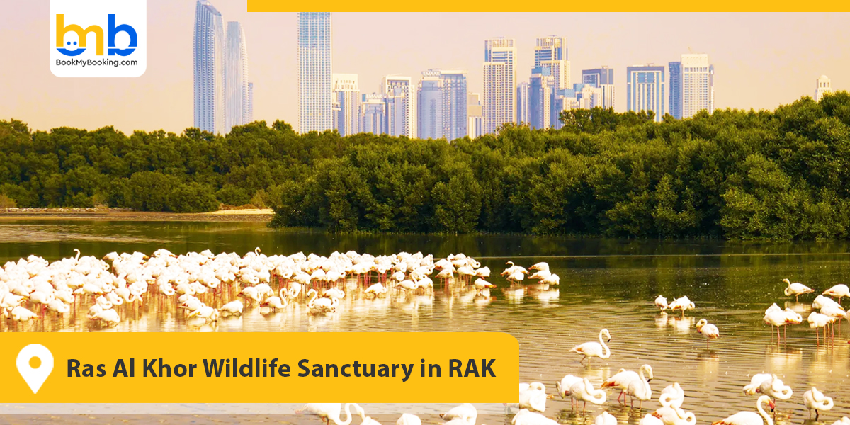 Ras Al Khor Wildlife Sanctuary in RAK
