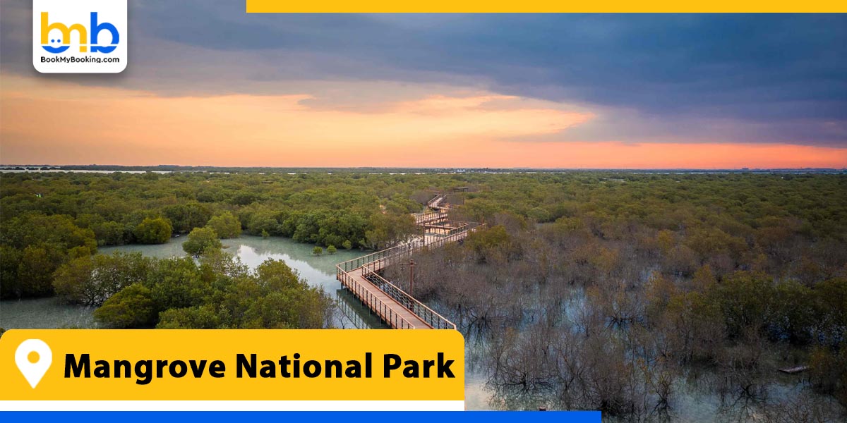 mangrove national park from bookmybooking