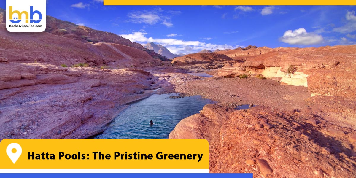 hatta pools the pristine greenery from bookmybooking