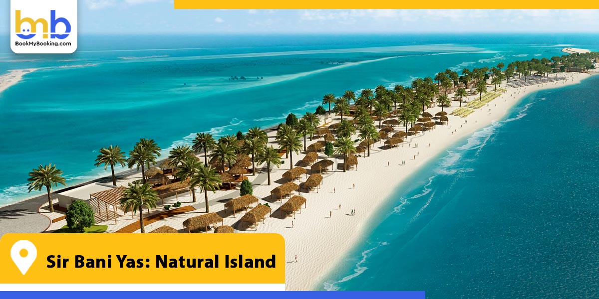 sir bani yas natural island from bookmybooking
