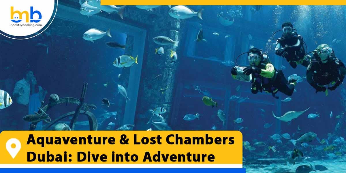 aquaventure lost chambers dubai dive into adventure from bookmybooking