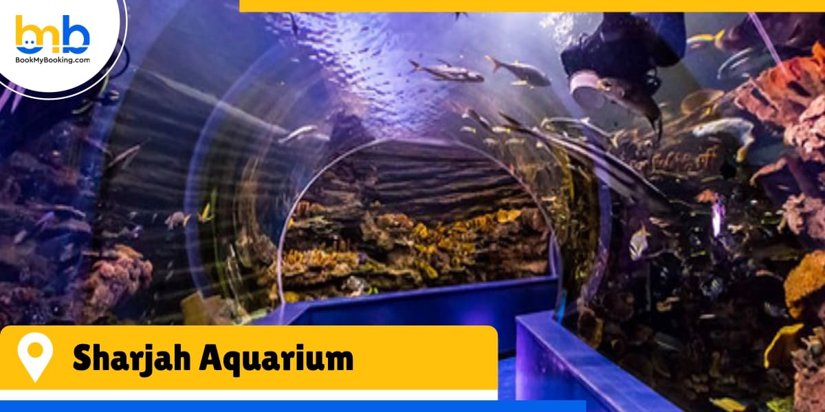 sharjah aquarium from bookmybooking