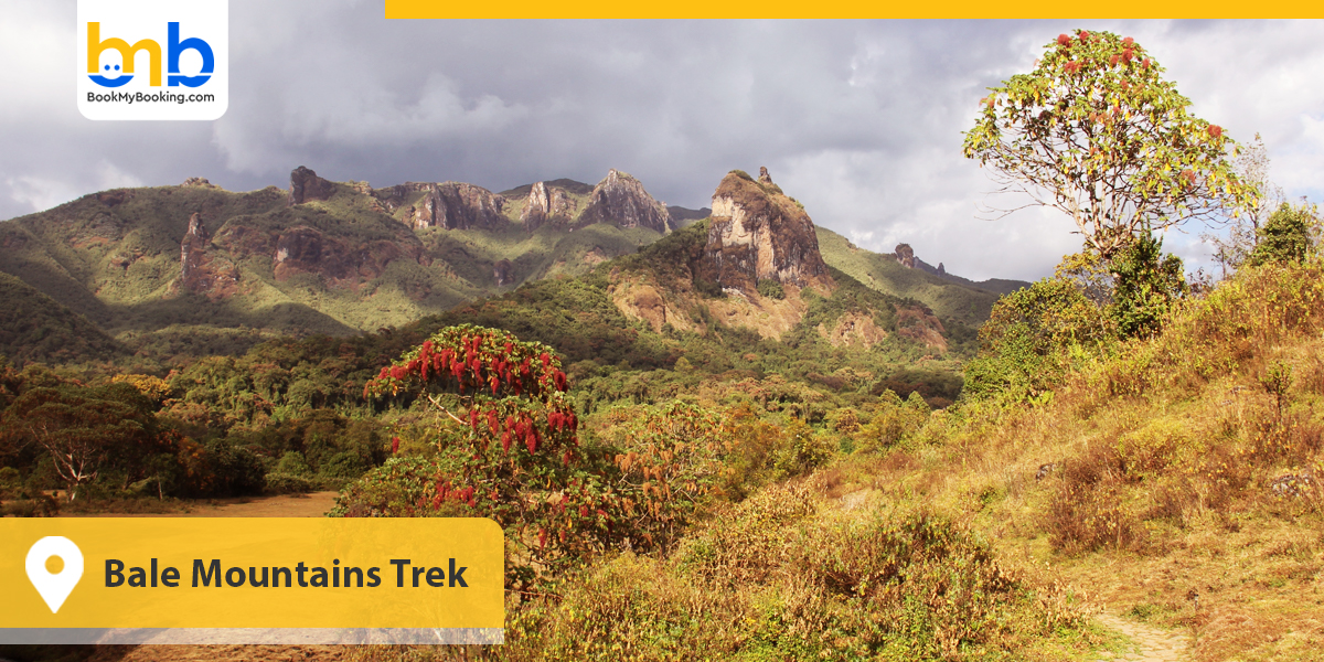 Bale Mountains Trek