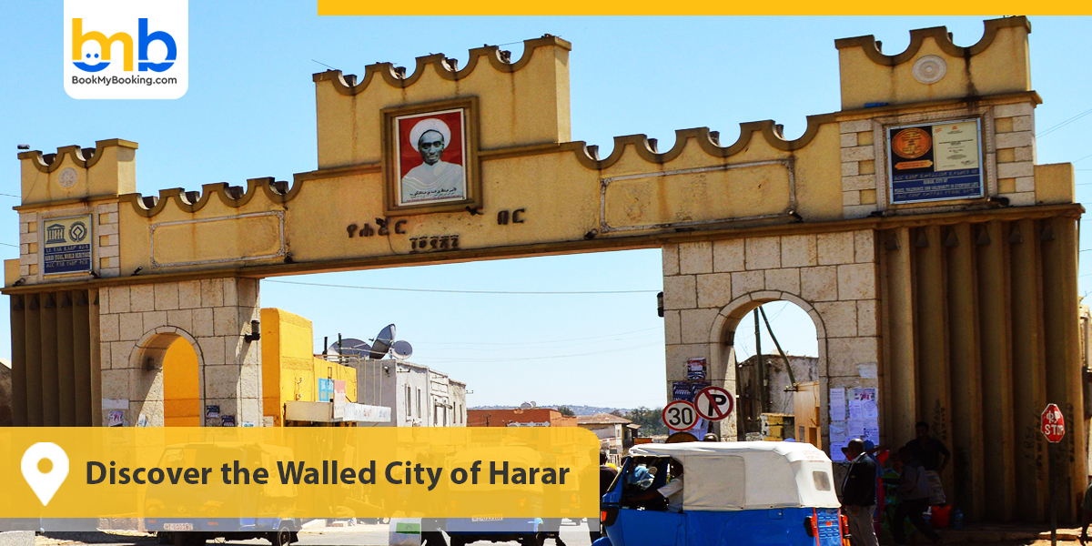 Discover the Walled City of Harar