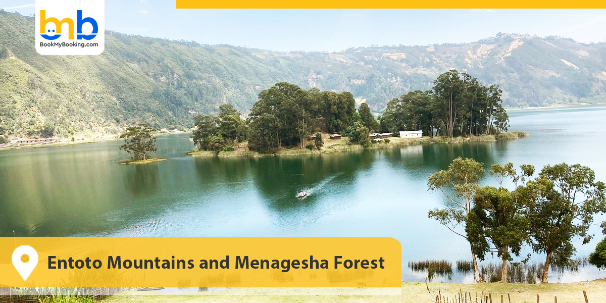 Entoto Mountains and Menagesha Forest