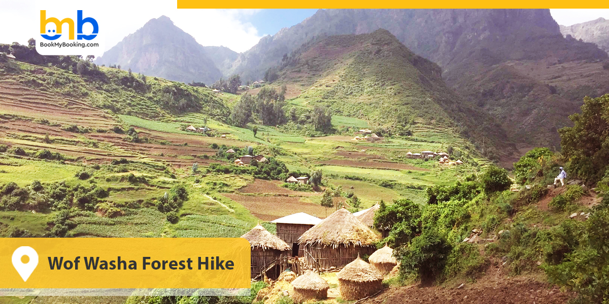 Wof Washa Forest Hike