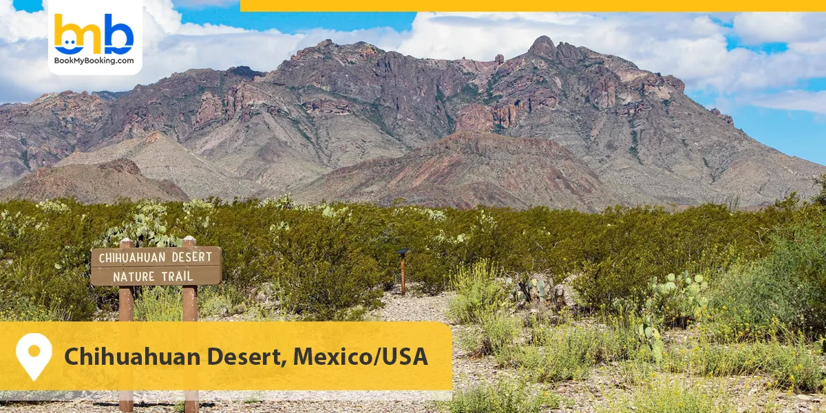 Chihuahuan Desert, Mexico/USA