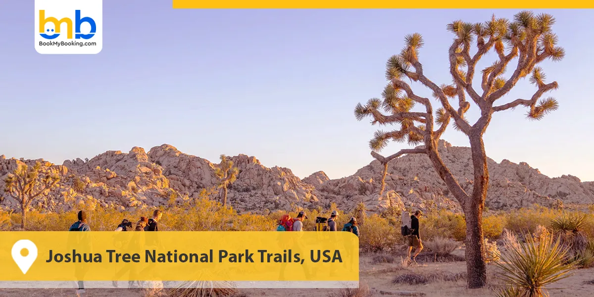 Joshua Tree National Park Trails, USA