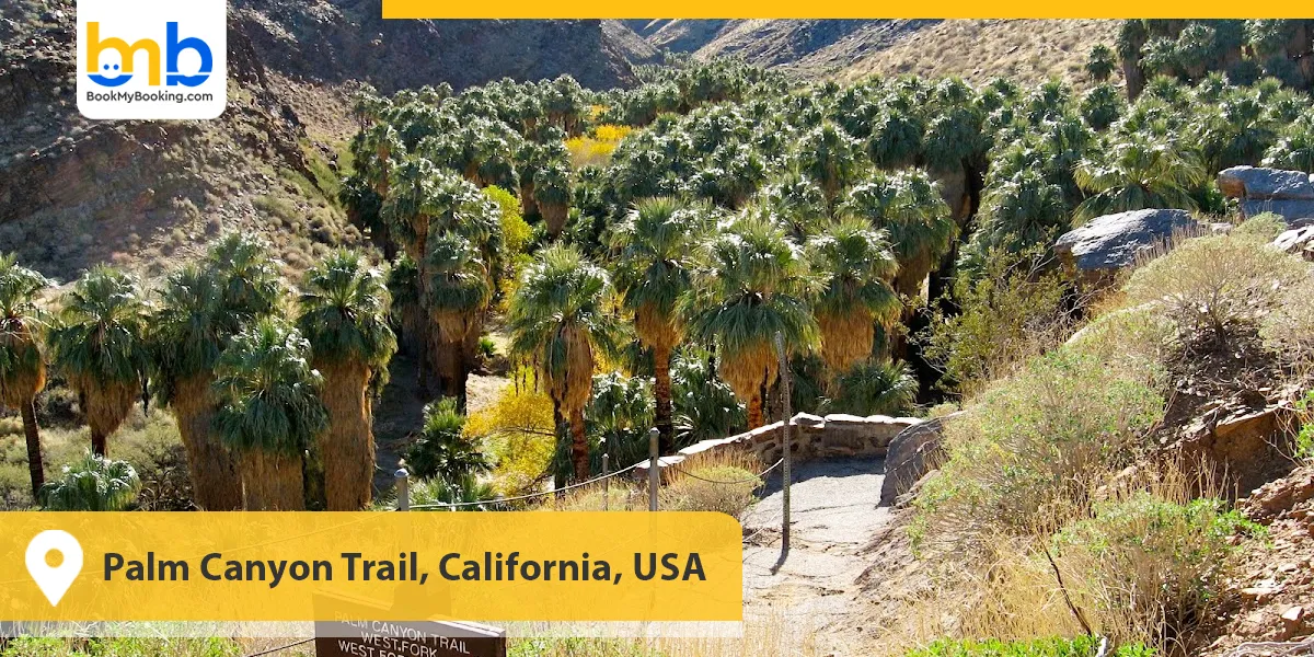 Palm Canyon Trail, California, USA