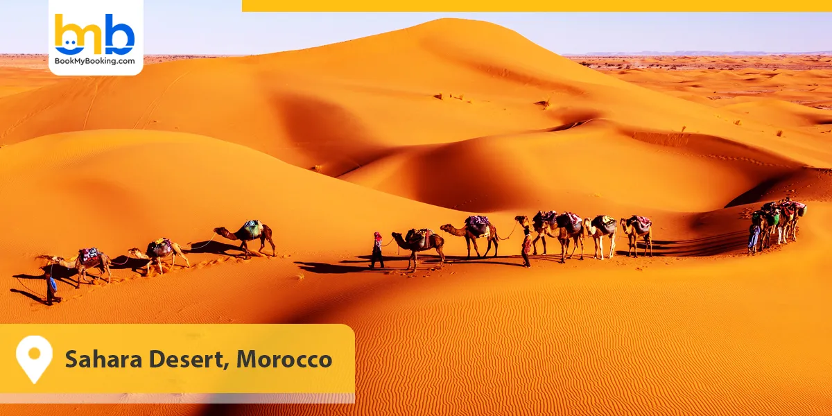 Sahara Desert, Morocco