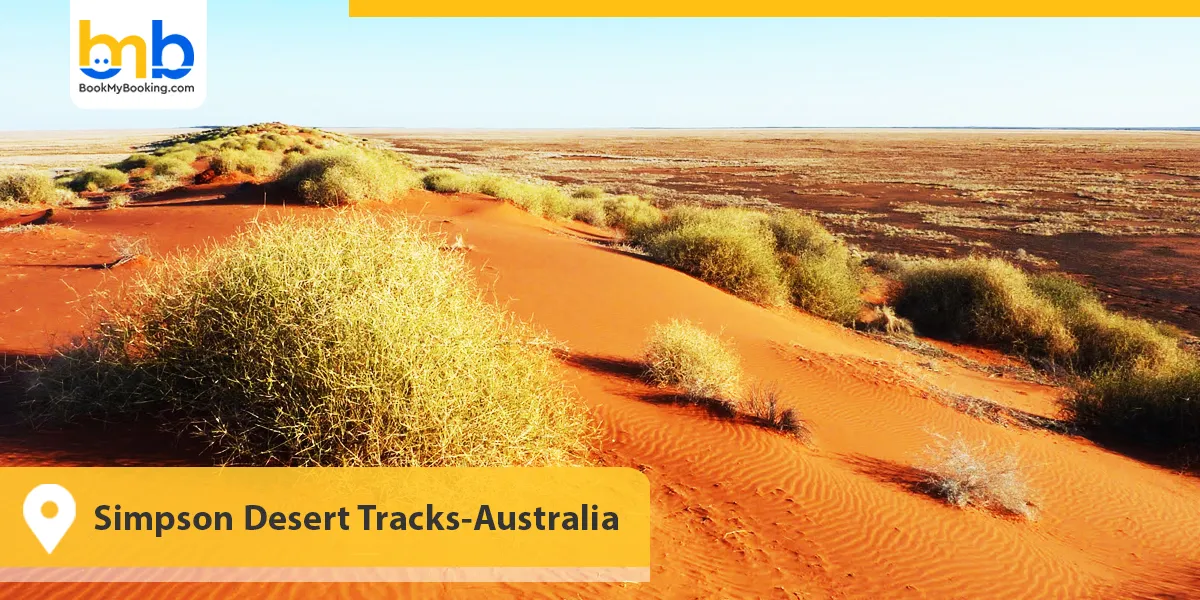 Simpson Desert Tracks-Australia