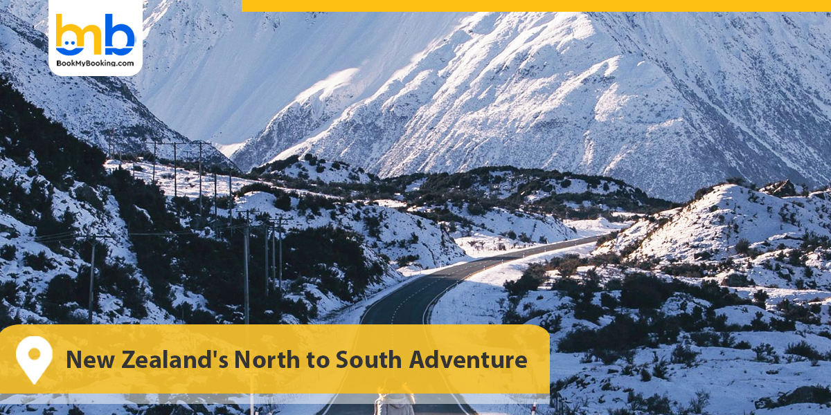 New Zealand's North to South Adventure