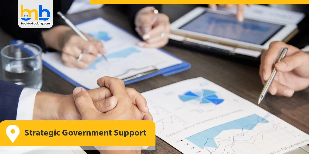 Strategic Government Support