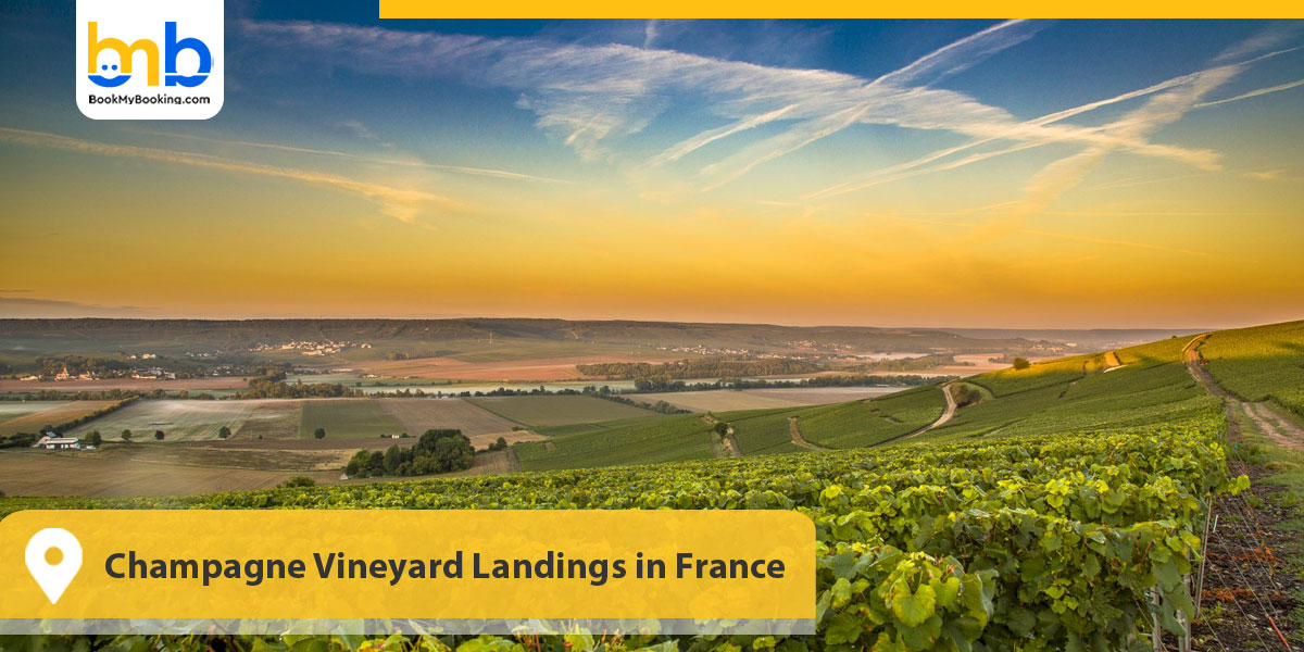 Champagne Vineyard Landings in France