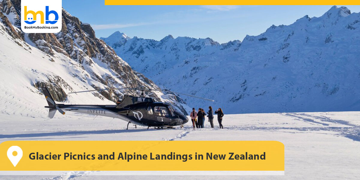 Glacier Picnics and Alpine Landings in New Zealand