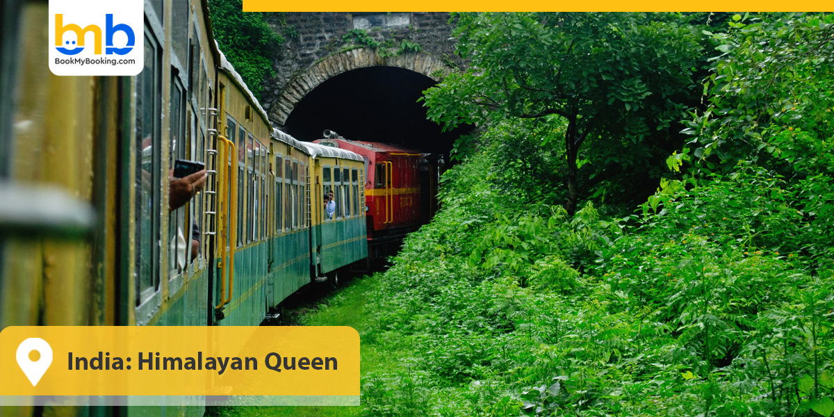 India Himalayan Queen