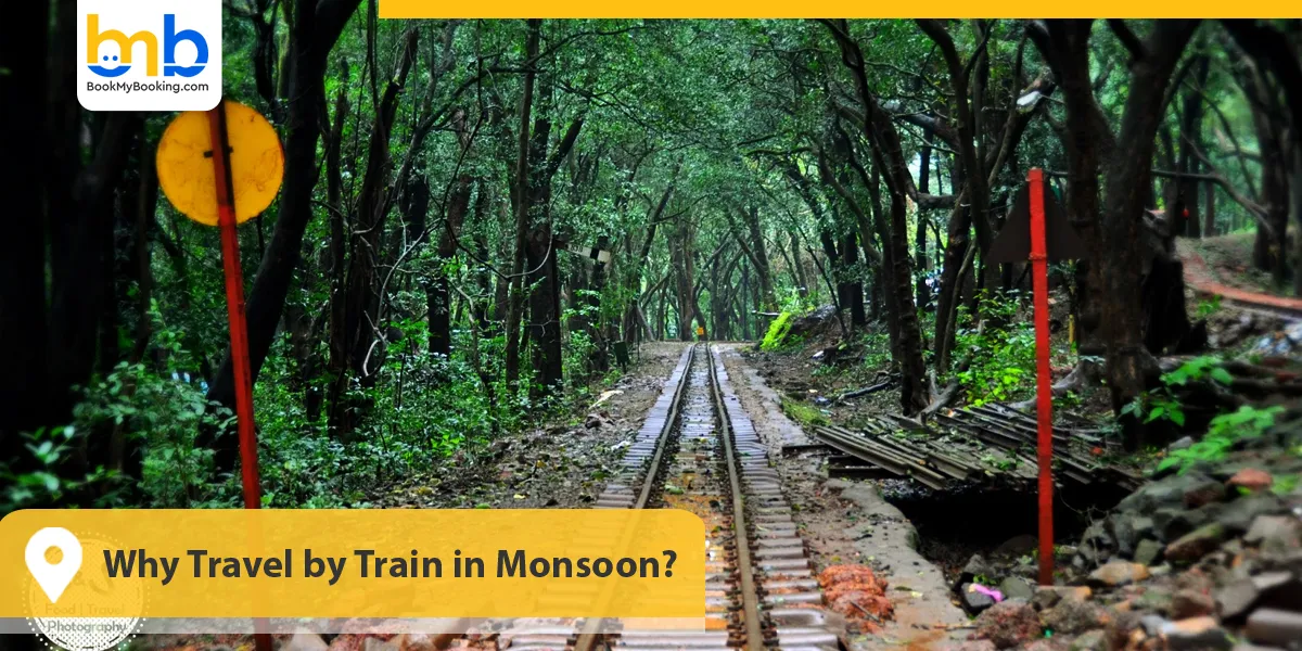 Why Travel by Train in Monsoon