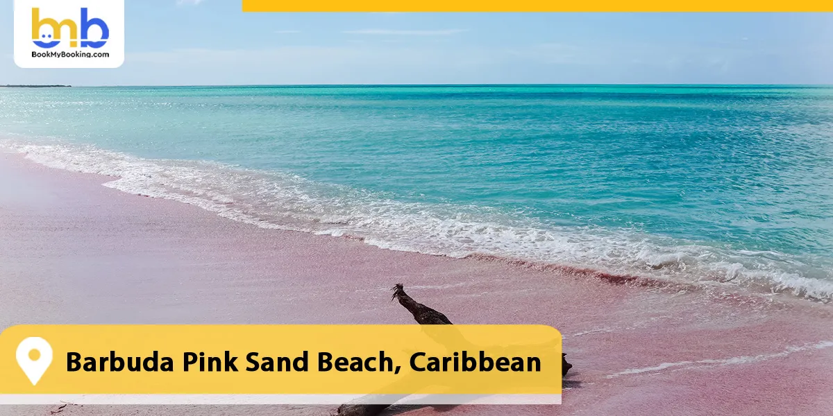 Barbuda Pink Sand Beach, Caribbean