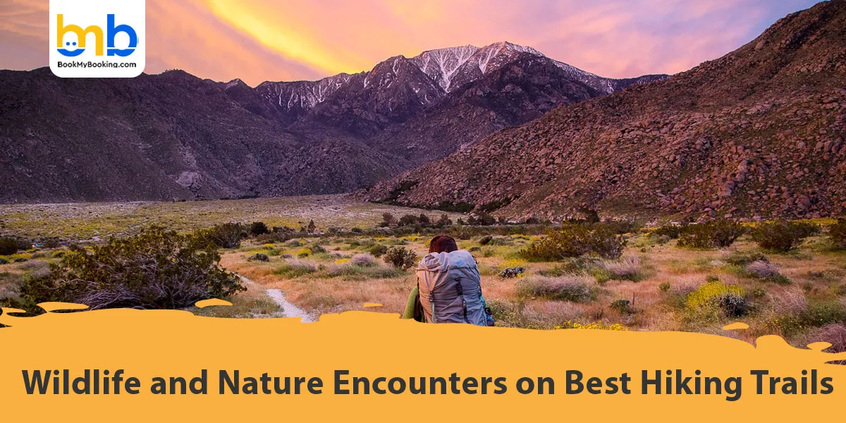 Wildlife and Nature Encounters on Best Hiking Trails
