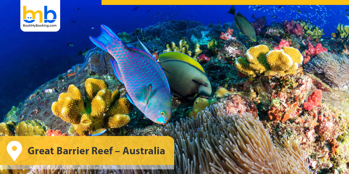 Great Barrier Reef &ndash; Australia