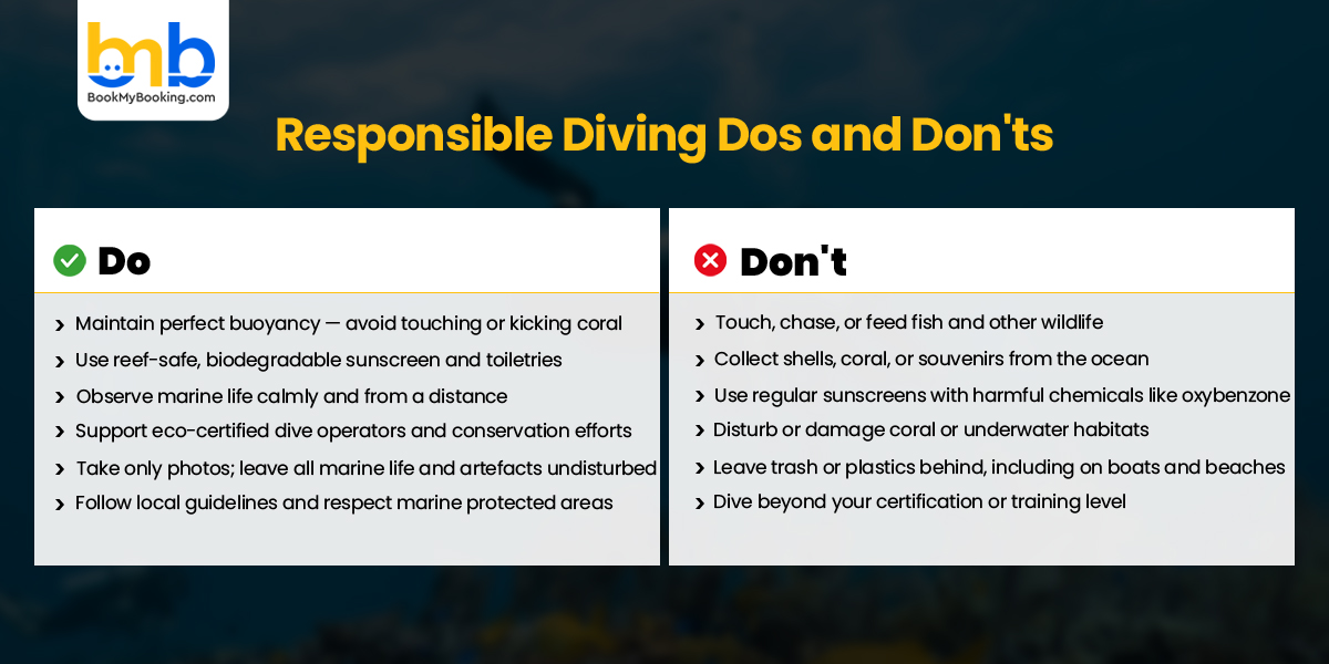 Responsible Diver Tips