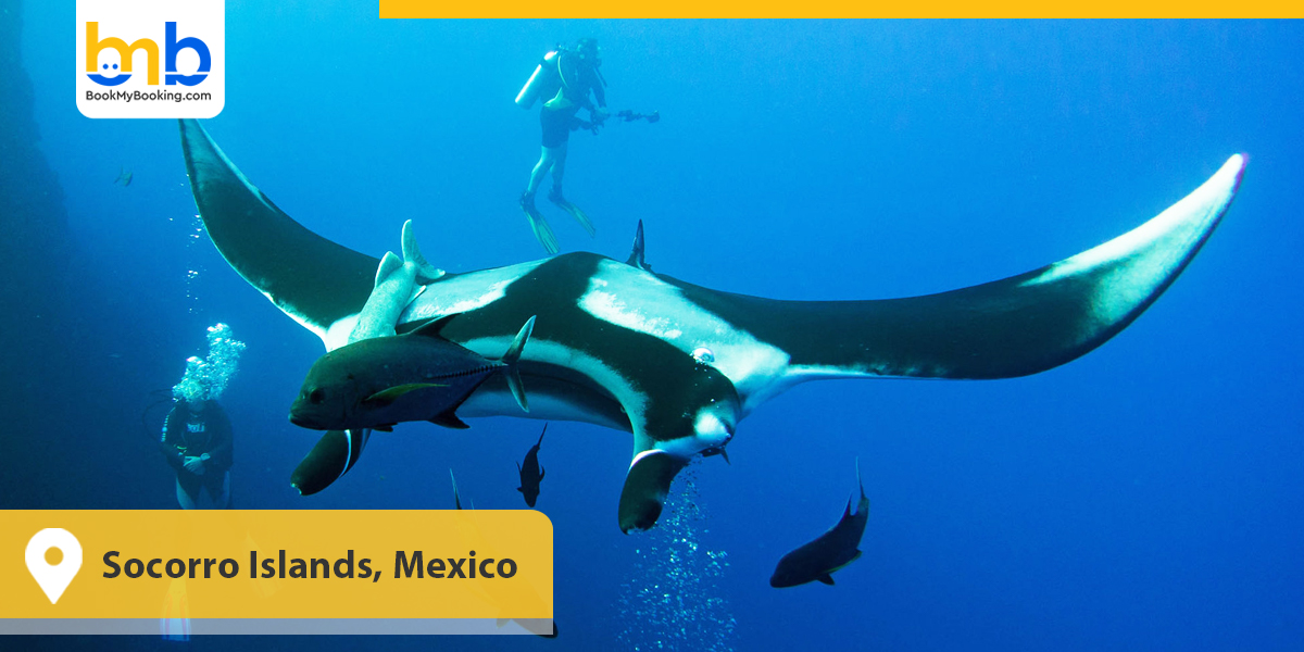 Socorro Islands, Mexico