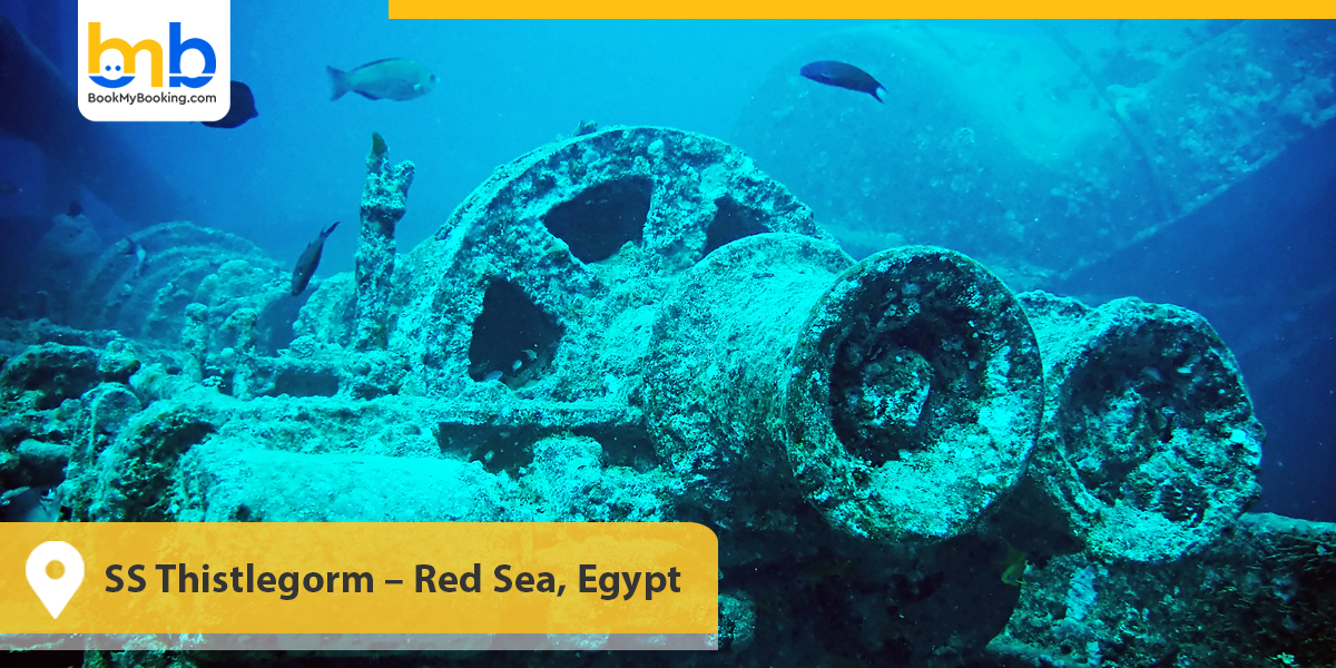 SS Thistlegorm &ndash; Red Sea, Egypt
