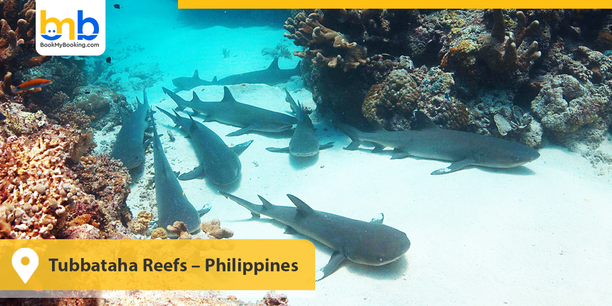 Tubbataha Reefs &ndash; Philippines